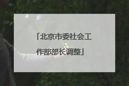北京市委社会工作部部长调整